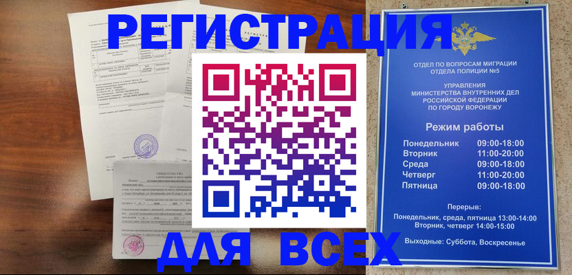прописка поиск в Бородино